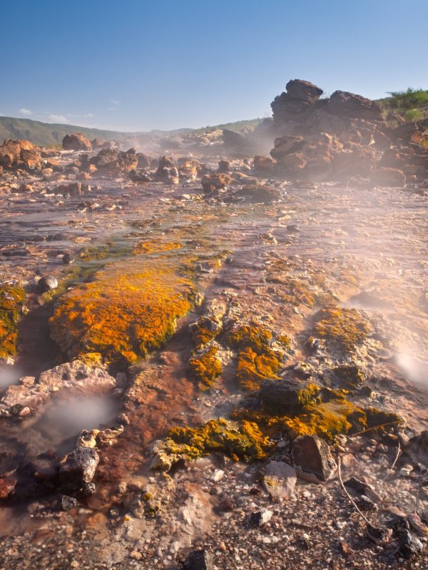 Colorful Hot Springs At Lake Bogoria, Kenya