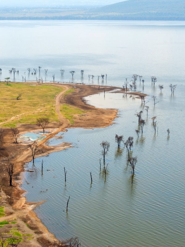 View on the lake Nakuru. Africa. Kenya
