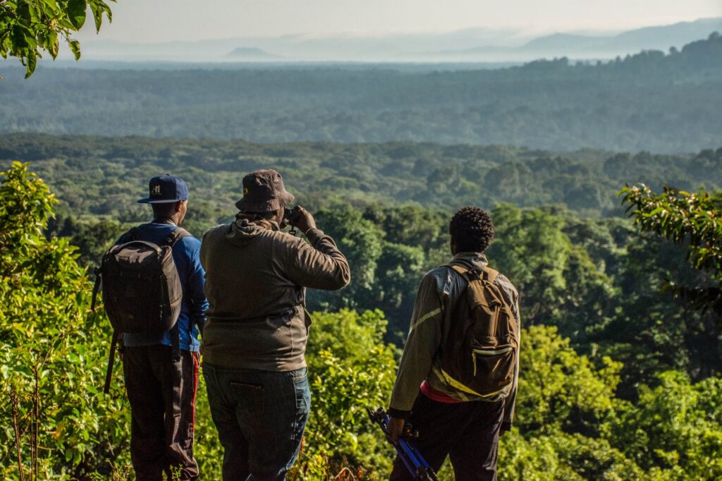 A hike in the rain forest