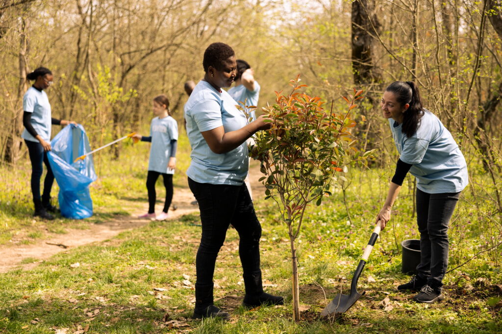 Team of volunteers planting trees around the forest area for nature conservation