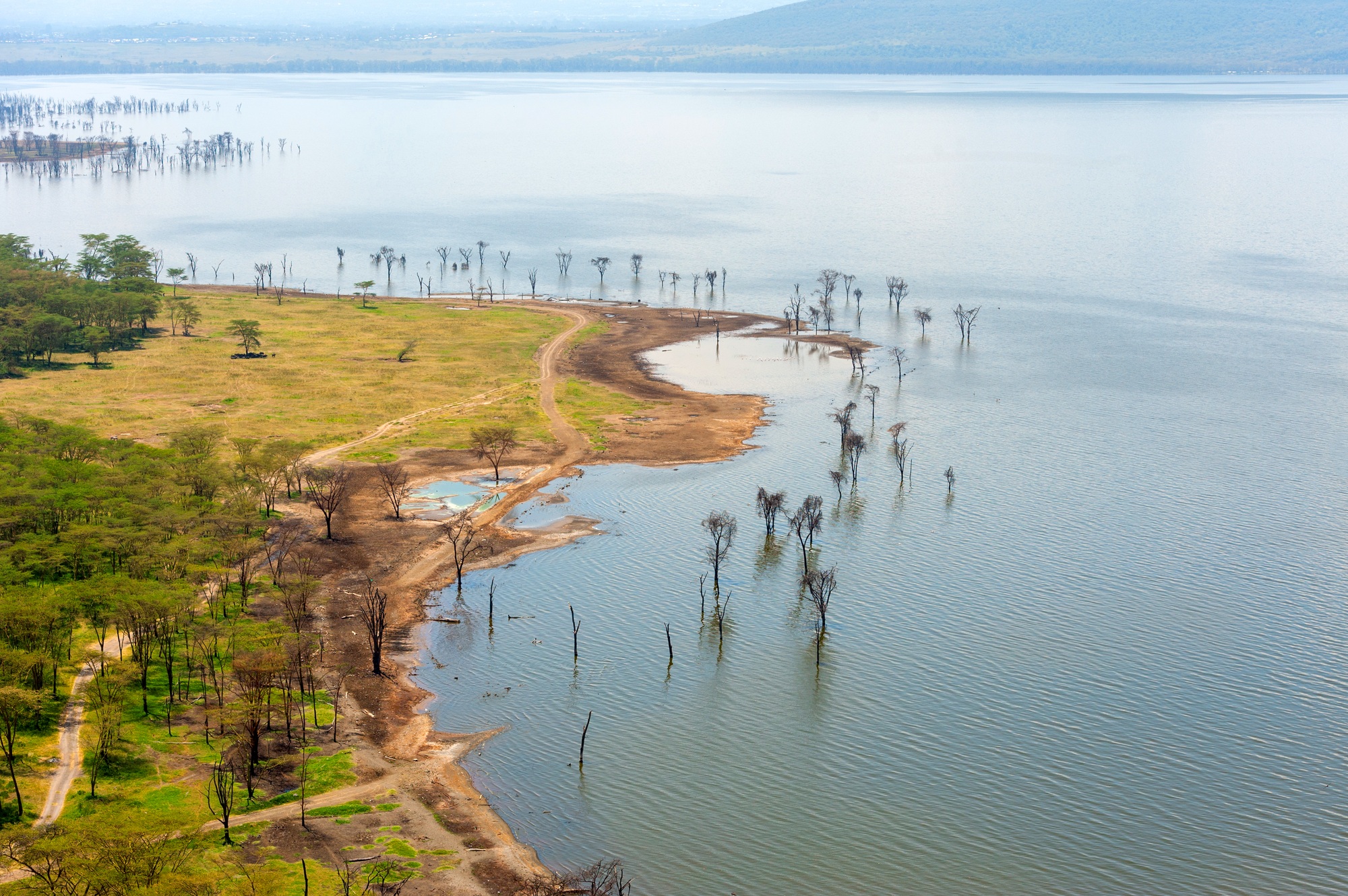 View on the lake Nakuru. Africa. Kenya